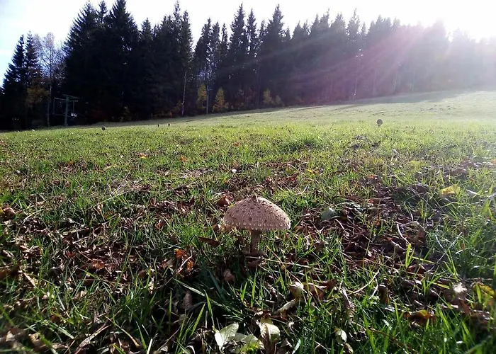 Chalet Na Sjezdovce *
